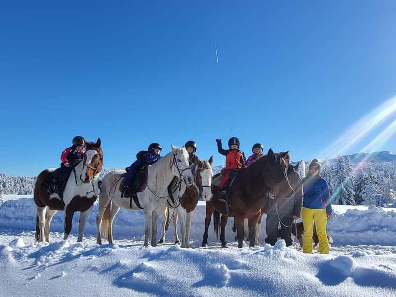 Borovets: Horse Riding Experience - Key points to know before booking