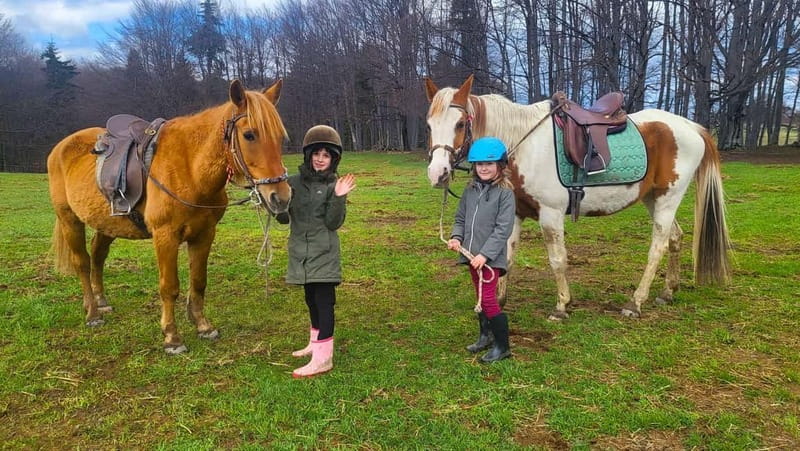 Borovets: Horse Riding Experience - From Ski & Board Traventuria to Butch Ranch