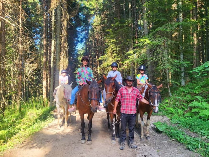 Borovets: Horse Riding Experience - How the first hour in the saddle works