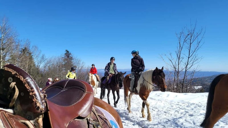 Borovets: Horse Riding Experience - What makes the ranch stop special