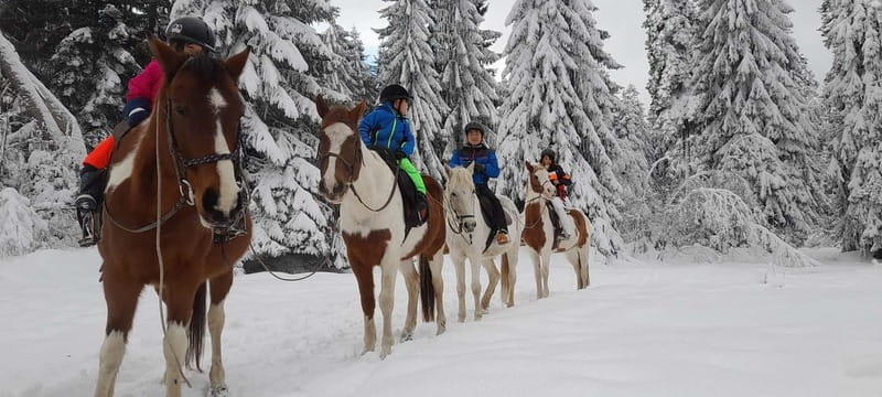 Borovets: Horse Riding Experience - The view changes with the season