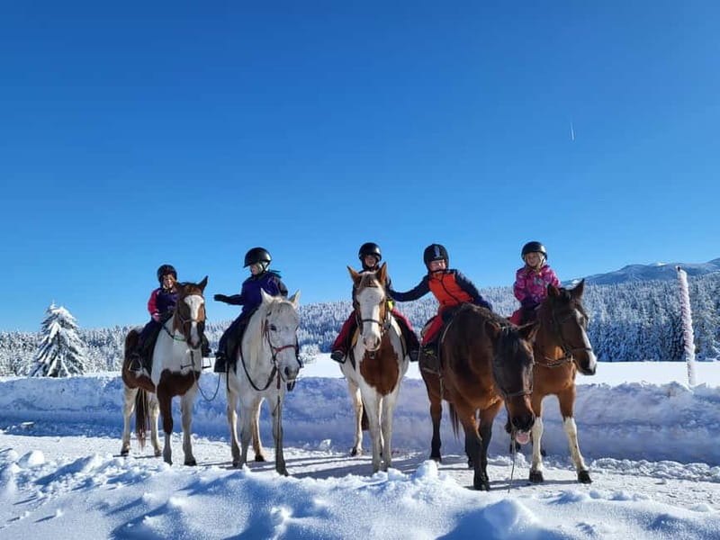Borovets: Horse Riding Experience - Small details that make the ride better