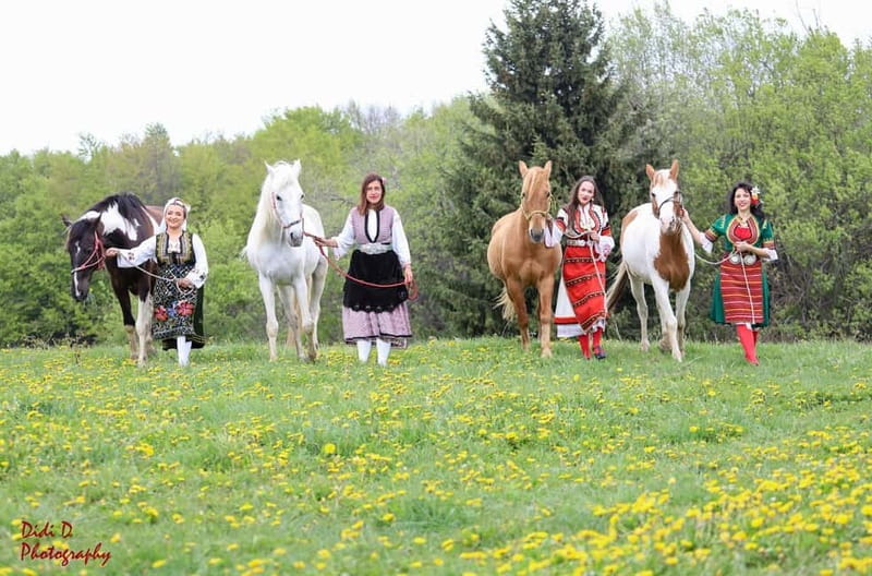 Borovets: Horse Riding Experience - Meeting the horses and instructor