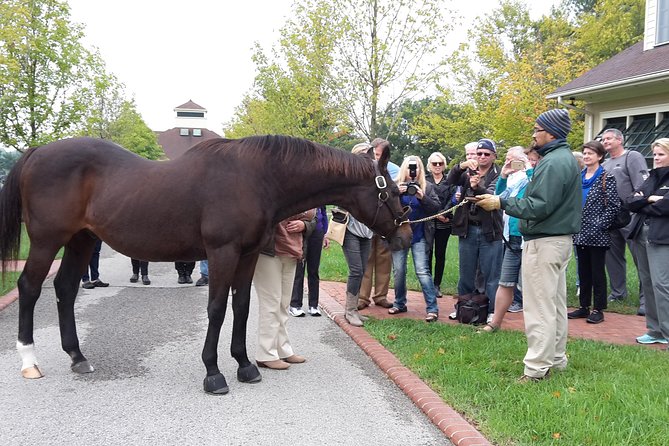 Bourbon Distillery & Horse Farm Tours - Horse farms add a different side of Kentucky