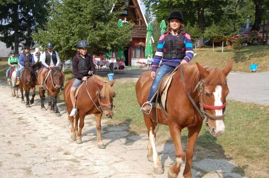 Brașov: Horseback Riding Experience - A gentle horseback ride beyond Brașov
