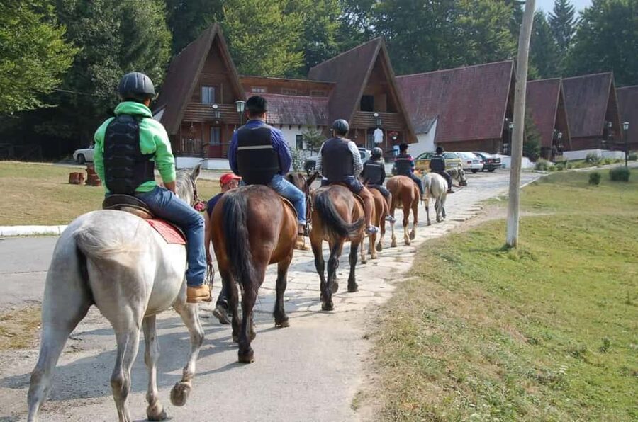 Brașov: Horseback Riding Experience - Meeting the horses and learning the basics