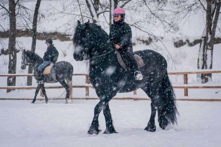 Brașov: Horseback Riding Experience - One hour through the mountain forest