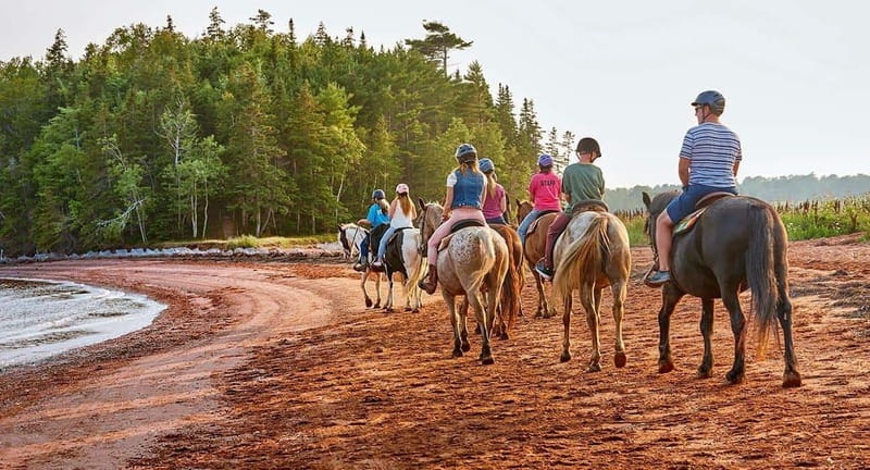 Brudenell: Family-Friendly Horse Ride goes on the Beach - From Brudenell stables to the shore