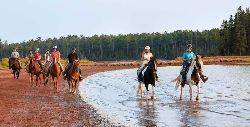 Brudenell: Family-Friendly Horse Ride goes on the Beach - What to wear and what to leave behind