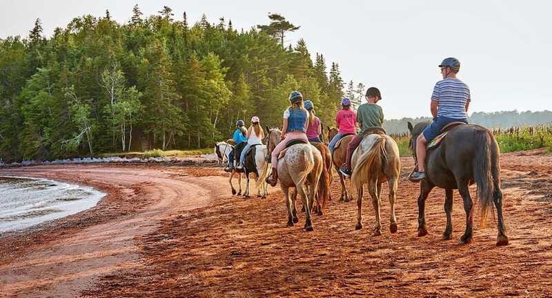 Brudenell: Family-Friendly Horse Ride goes on the Beach - Timing is the one rule to take seriously