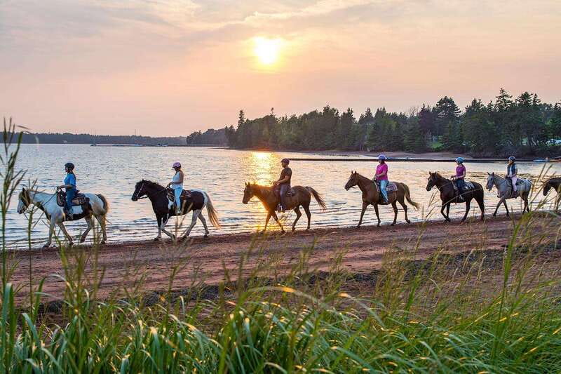 Brudenell: Family-Friendly Horse Ride goes on the Beach - The wooded trail and river section