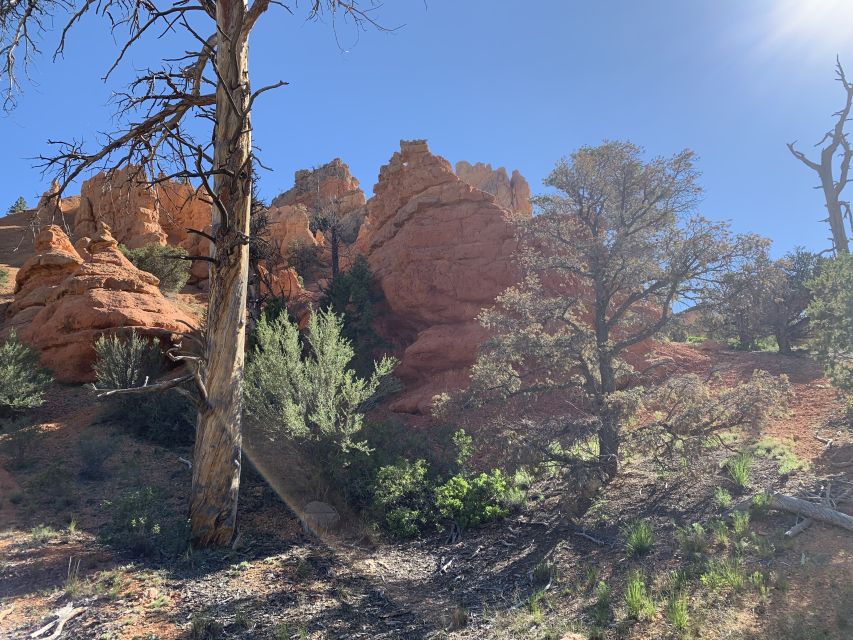 Bryce Canyon City: Horseback Riding Tour in Red Canyon - Quick points to know