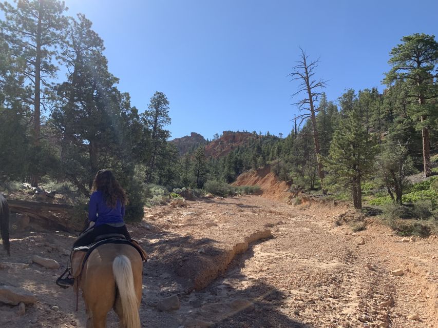 Bryce Canyon City: Horseback Riding Tour in Red Canyon - What three hours in the saddle feels like