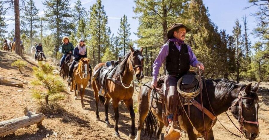 Bryce Canyon City: Horseback Riding Tour in Red Canyon - Who will enjoy this ride most?