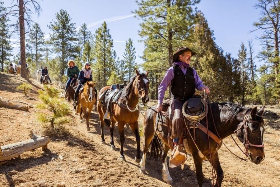 Bryce Canyon City: Horseback Riding Tour in Red Canyon - Practical packing advice for Red Canyon