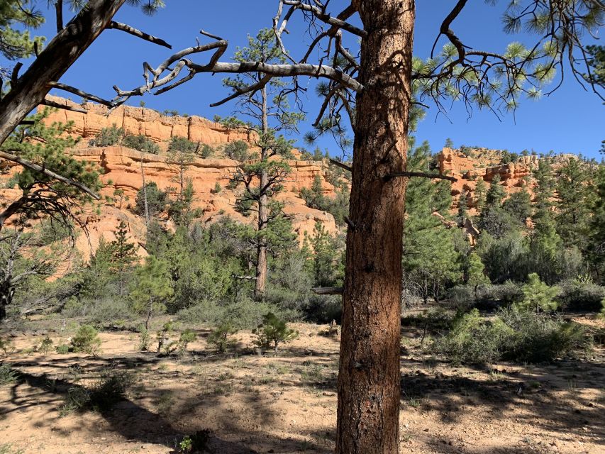 Bryce Canyon City: Horseback Riding Tour in Red Canyon - The first miles through Red Canyon