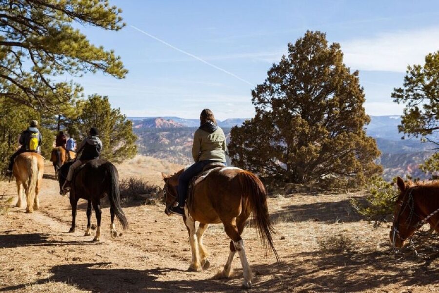 Bryce Canyon: Horseback Ride in the Dixie National Forest - Through the pines of Dixie National Forest