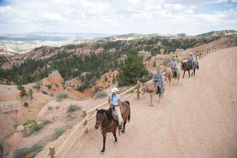 Bryce Canyon: Horseback Ride in the Dixie National Forest - What the guides add to the ride