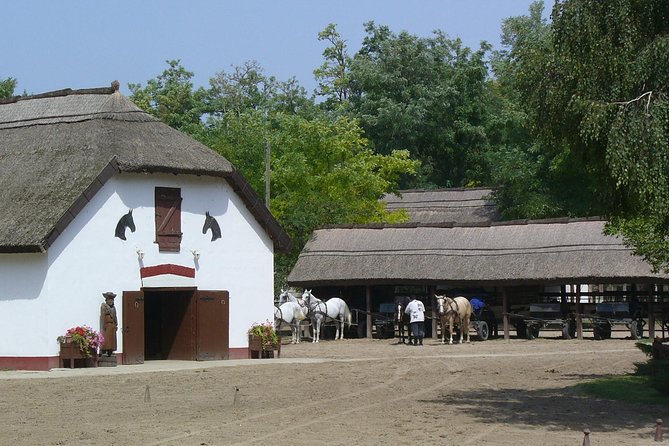 Budapest Puszta Day Trip to Kecskemet with Horse Show & Lunch - A generous Hungarian lunch