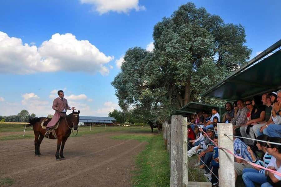 Buenos Aires: Don Silvano Ranch Gaucho Day Trip - Key points at a glance