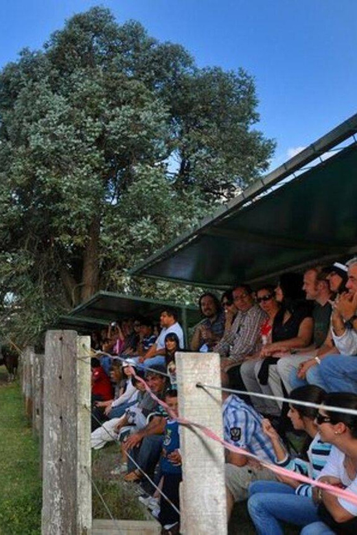 Buenos Aires: Don Silvano Ranch Gaucho Day Trip - The asado lunch is the heart of the day