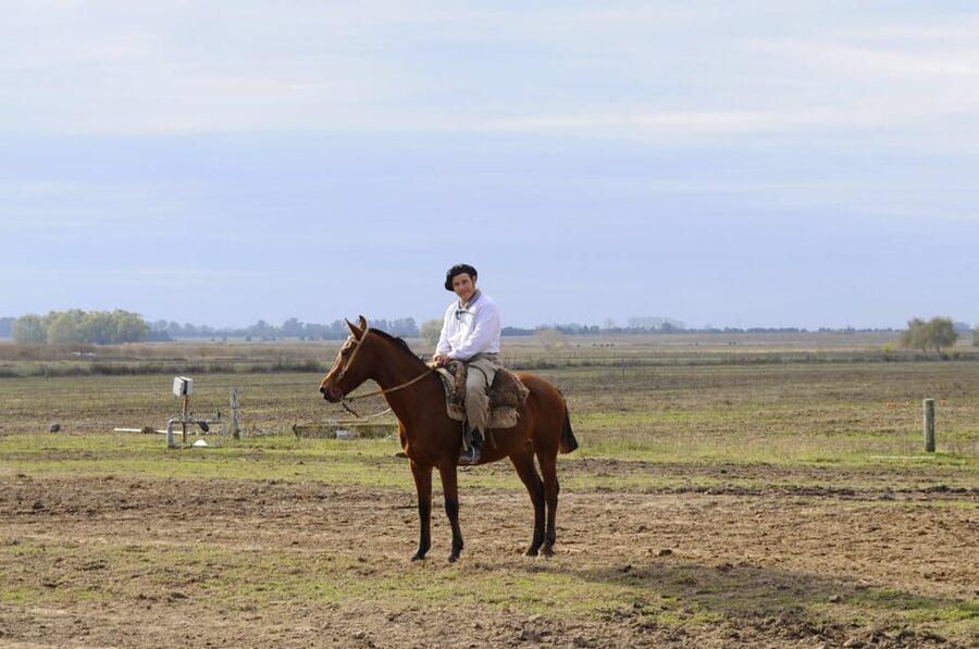 Buenos Aires: Don Silvano Ranch Gaucho Day Trip - Folk music, dancing, and a taste of mate