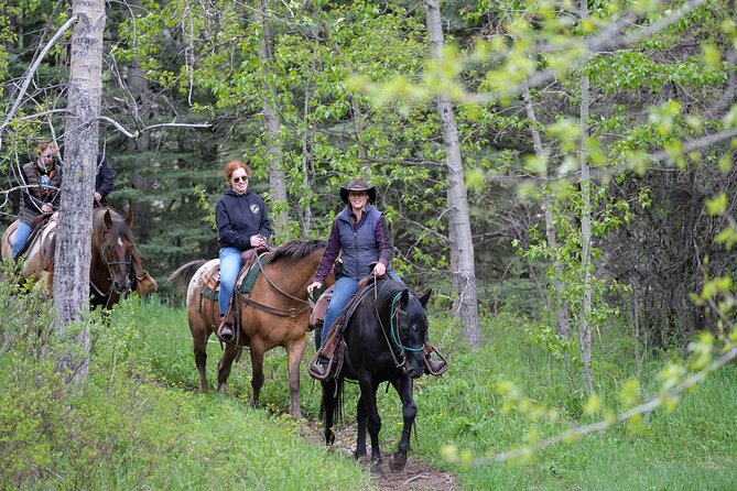 Buffalo Loop 1-Hour Horseback Trail Ride in Kananaskis - A calm start to horseback riding in Kananaskis
