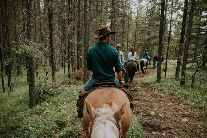 Buffalo Loop 1-Hour Horseback Trail Ride in Kananaskis - What one hour feels like in the saddle