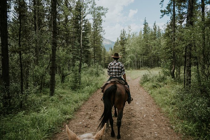 Buffalo Loop 1-Hour Horseback Trail Ride in Kananaskis - Who should book the Buffalo Loop?