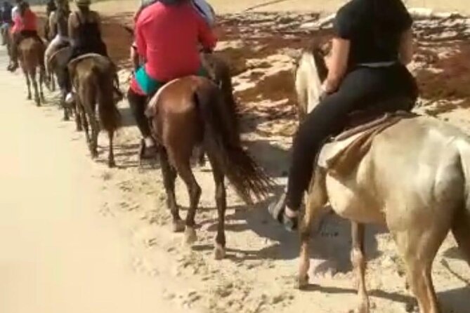 Buggies & Horses in Punta Cana: Double the Thrill in One Tour - Pickup and practical planning