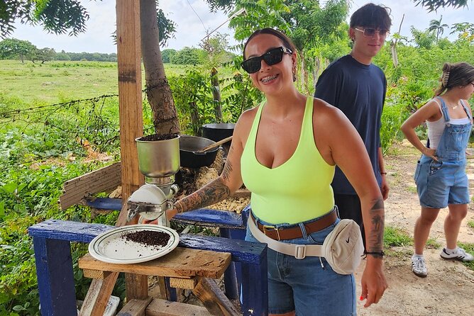 Buggy, horse and plantation ranch - Key points to know before booking