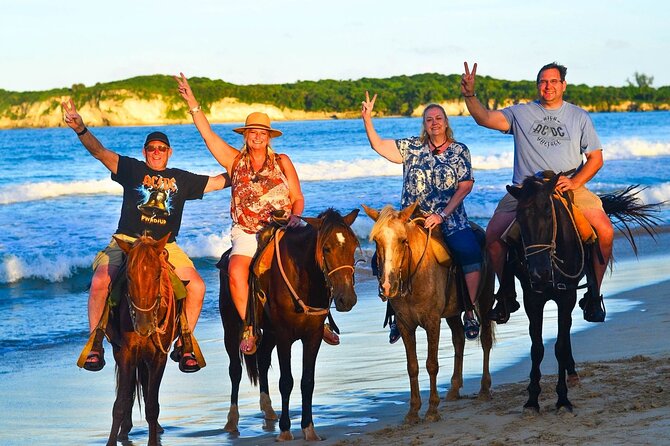 Buggy, horse and plantation ranch - What the $65 price buys you