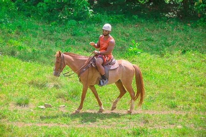 Buggy, Horse and Zip Line with Lunch included from Punta Cana - Eight carbon zip lines near Macao