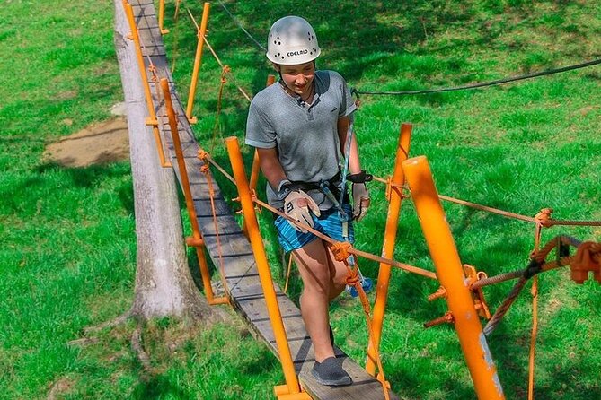 Buggy, Horse and Zip Line with Lunch included from Punta Cana - What the ratings tell you about the experience
