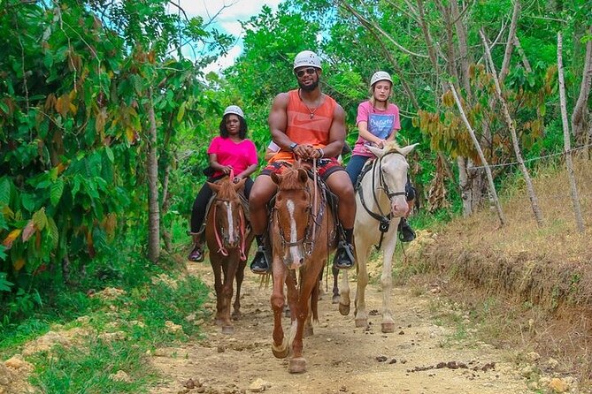 Buggy, Horse and Zip Line with Lunch included from Punta Cana - Booking advice and cancellation terms