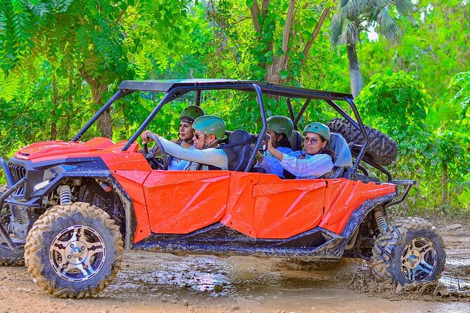 Buggy Horses and Zip Line from Punta Cana with Lunch Included - Should you book it?