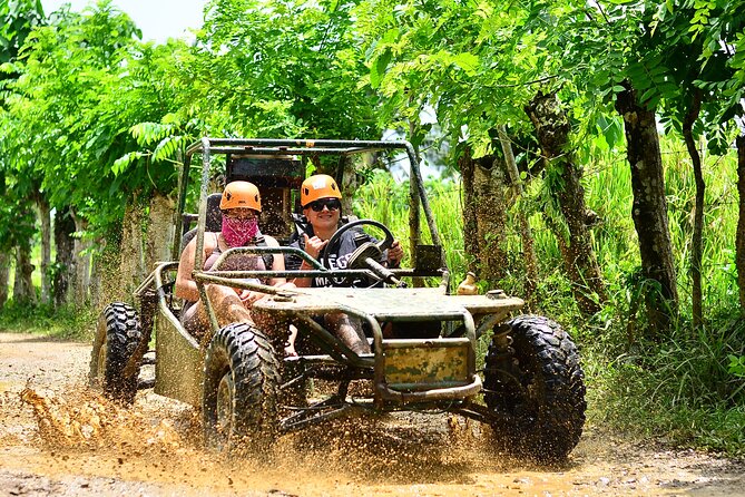 Buggy Ride, Horseback, Zipline,Eco Farm,Macao Beach - Cocoa, coffee, tobacco, and a taste of local life