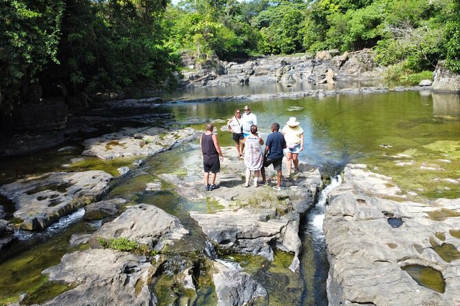 Buggy Ride, Horseback, Zipline,Eco Farm,Macao Beach - Lunch by the river and the open bar