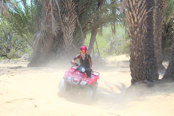 Cabo Desert ATV & Beach Horseback Combo enjoy adventure and beauty! - Desert Trails by ATV or RZR