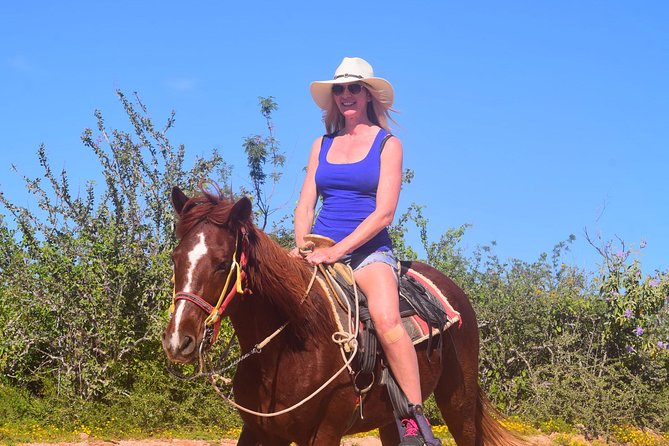 Cabo Desert Off-Road & Beach Horseback Combo and Tequila Tasting - Pickup from Cabo San Lucas and San José del Cabo