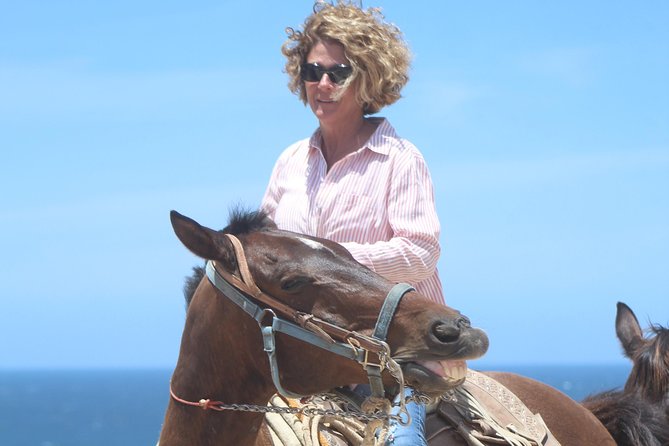 Cabo Desert Off-Road & Beach Horseback Combo and Tequila Tasting - The real price: $100 plus park fees and extras
