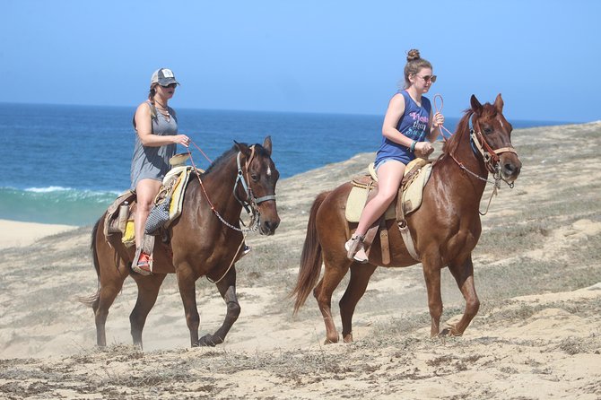 Cabo Desert Off-Road & Beach Horseback Combo and Tequila Tasting - Safety, comfort, and equipment