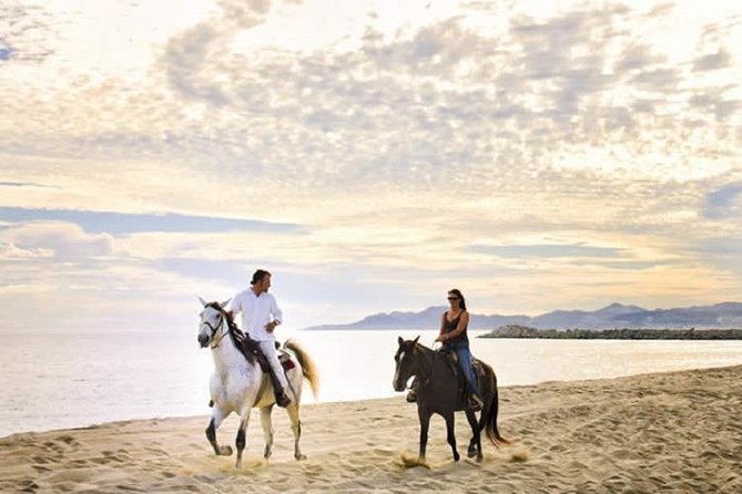 Cabo San Lucas Beach and Desert Horseback Ride - Key things to know before you book