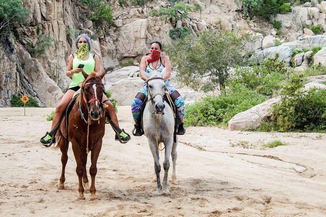 Cabo San Lucas Beach and Desert Horseback Ride - From Cabo to Migrino’s Pacific shore