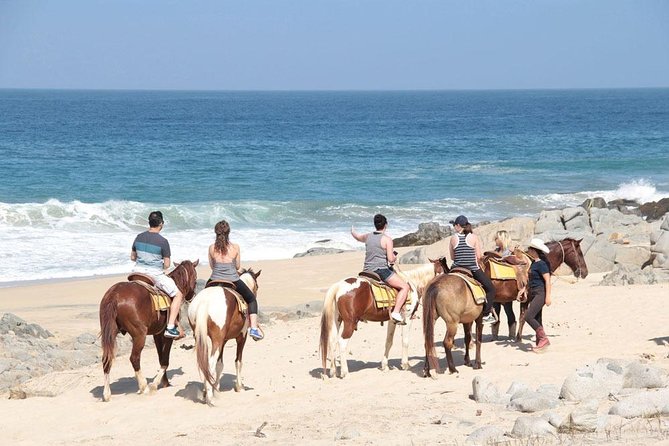 Cabo San Lucas Beach and Desert Horseback Ride - Through Migrino’s dry riverbeds and Baja trails