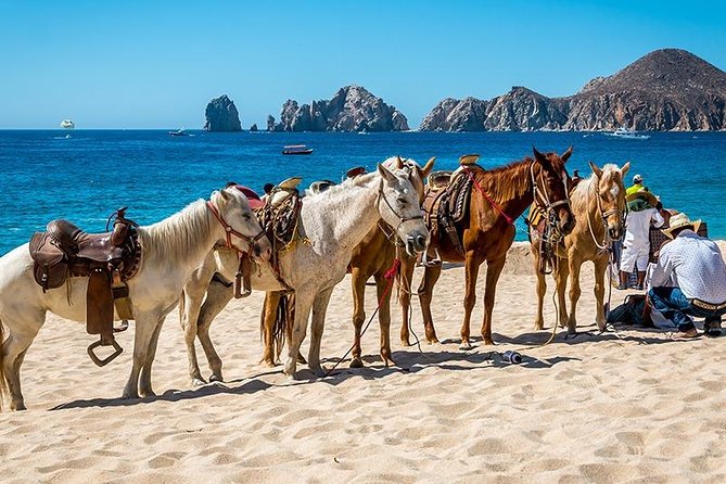 Cabo San Lucas Beach and Desert Horseback Ride - Small groups, private rides, and family fit