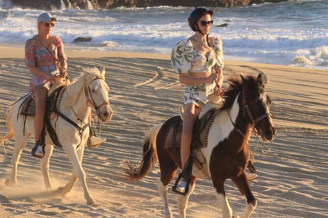 Cabo San Lucas Beach and Desert Horseback Ride - Is the $67.50 price good value?