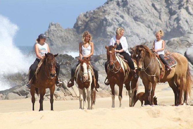 Cabo San Lucas Beach and Desert Horseback Ride - Timing, weather, and cancellation
