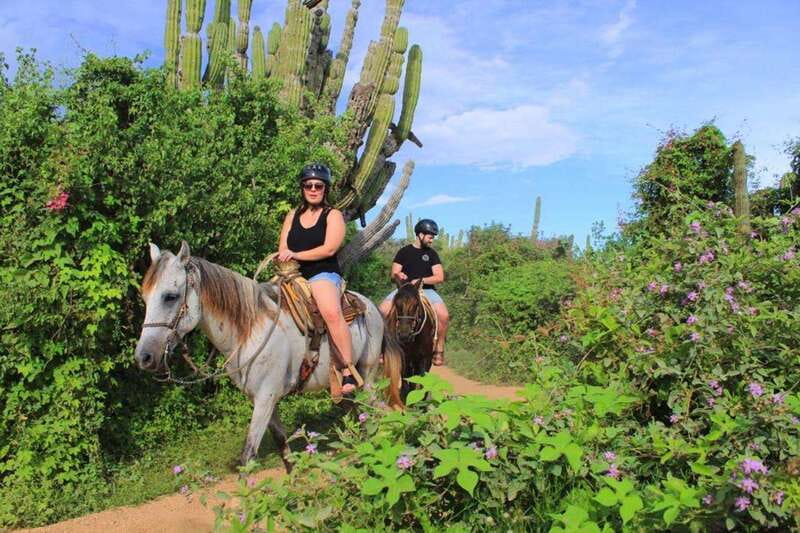 Cabo San Lucas: Beach & Desert Horseback Riding Tour - Key points at a glance