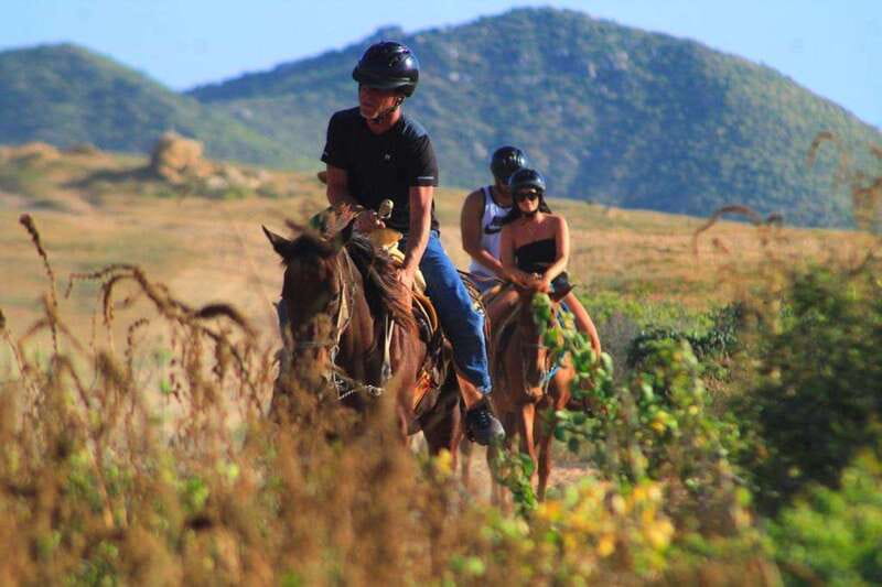 Cabo San Lucas: Beach & Desert Horseback Riding Tour - A beach ride with desert scenery in every direction